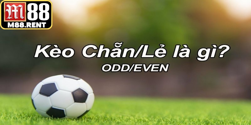 Cách đặt kèo chẵn lẻ bóng đá đang là chủ đề được rất nhiều người chơi quan tâm