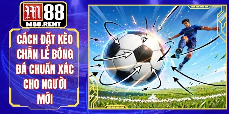 Cách Đặt Kèo Chẵn Lẻ Bóng Đá Chuẩn Xác Cho Người Mới