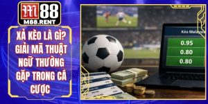 Xả Kèo Là Gì? Giải Mã Thuật Ngữ Thường Gặp Trong Cá Cược