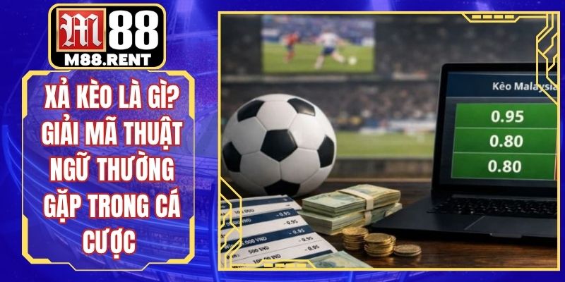 Xả Kèo Là Gì? Giải Mã Thuật Ngữ Thường Gặp Trong Cá Cược