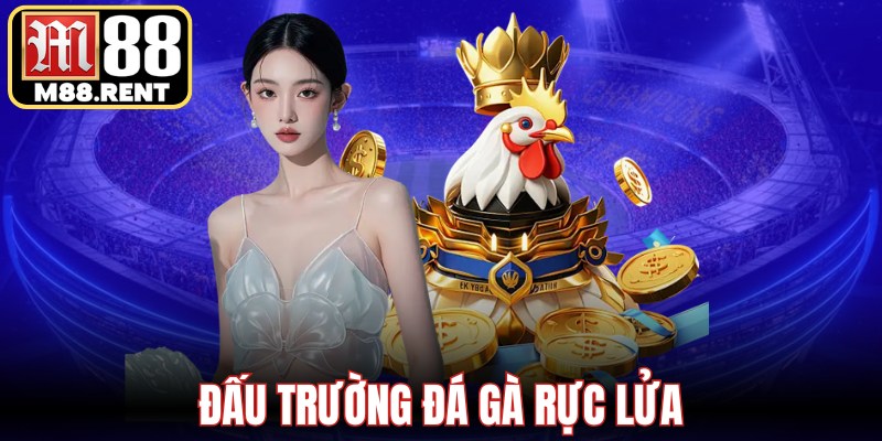 Đấu trường đá gà rực lửa
